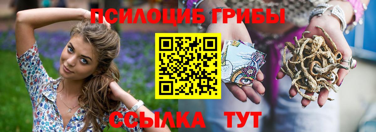 Гулькевичи  Псилоцибиновые грибы мицелий  Вход с VPN 